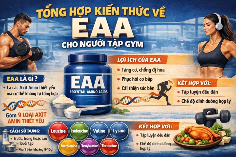 Tổng Hợp Kiến Thức Về EAA Cho Người Tập Gym