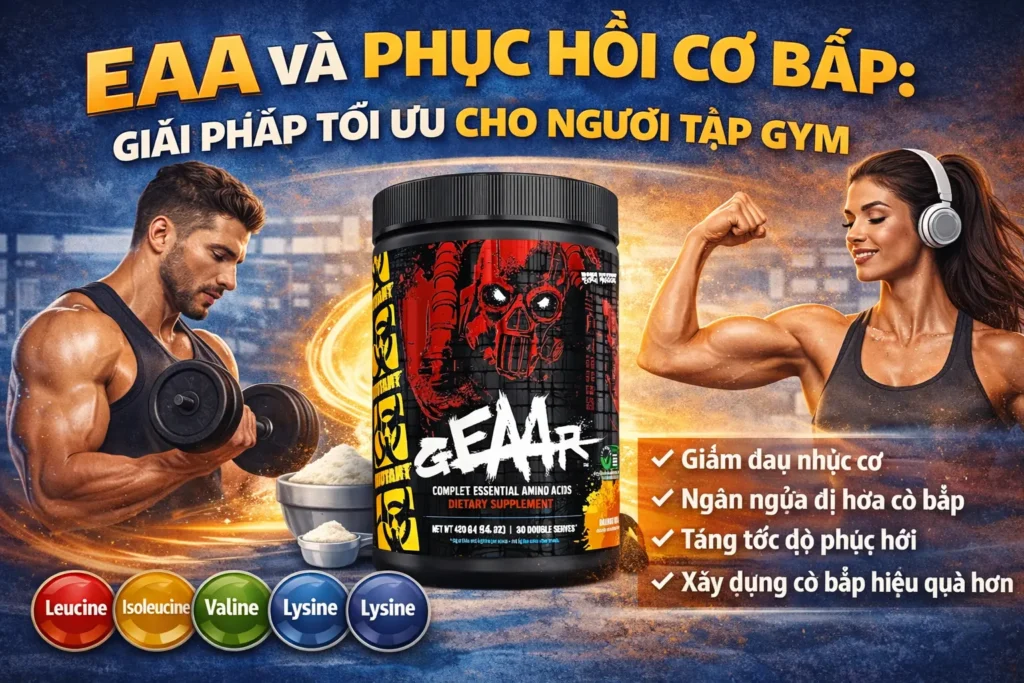 EAA Và Phục Hồi Cơ Bắp: Giải Pháp Tối Ưu Cho Người Tập Gym