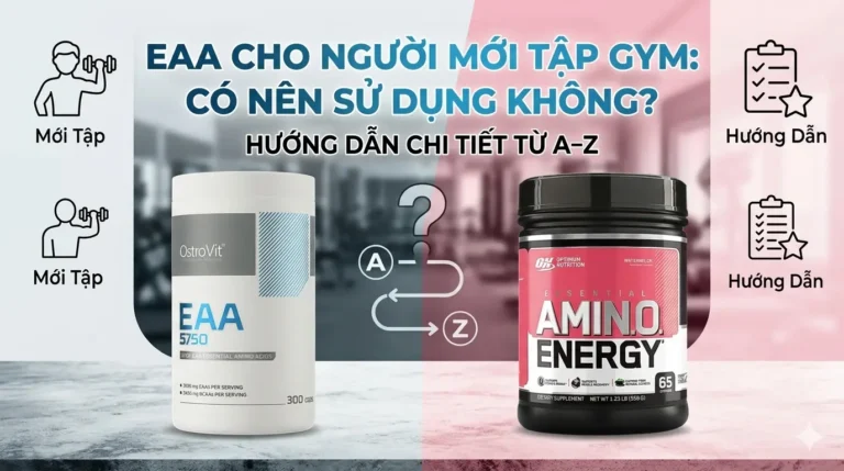 EAA Cho Người Mới Tập Gym: Có Nên Sử Dụng Không? Hướng Dẫn Chi Tiết Từ A–Z