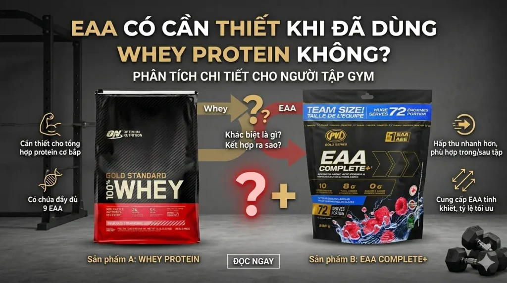EAA Có Cần Thiết Khi Đã Dùng Whey Protein Không? Phân Tích Chi Tiết Cho Người Tập Gym