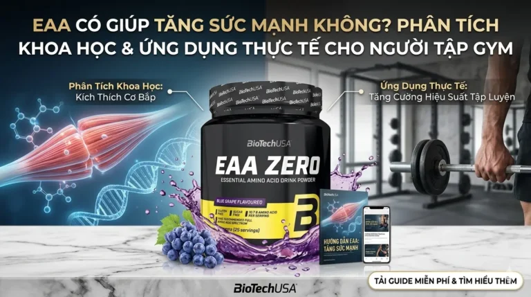 EAA Có Giúp Tăng Sức Mạnh Không? Phân Tích Khoa Học & Ứng Dụng Thực Tế Cho Người Tập Gym
