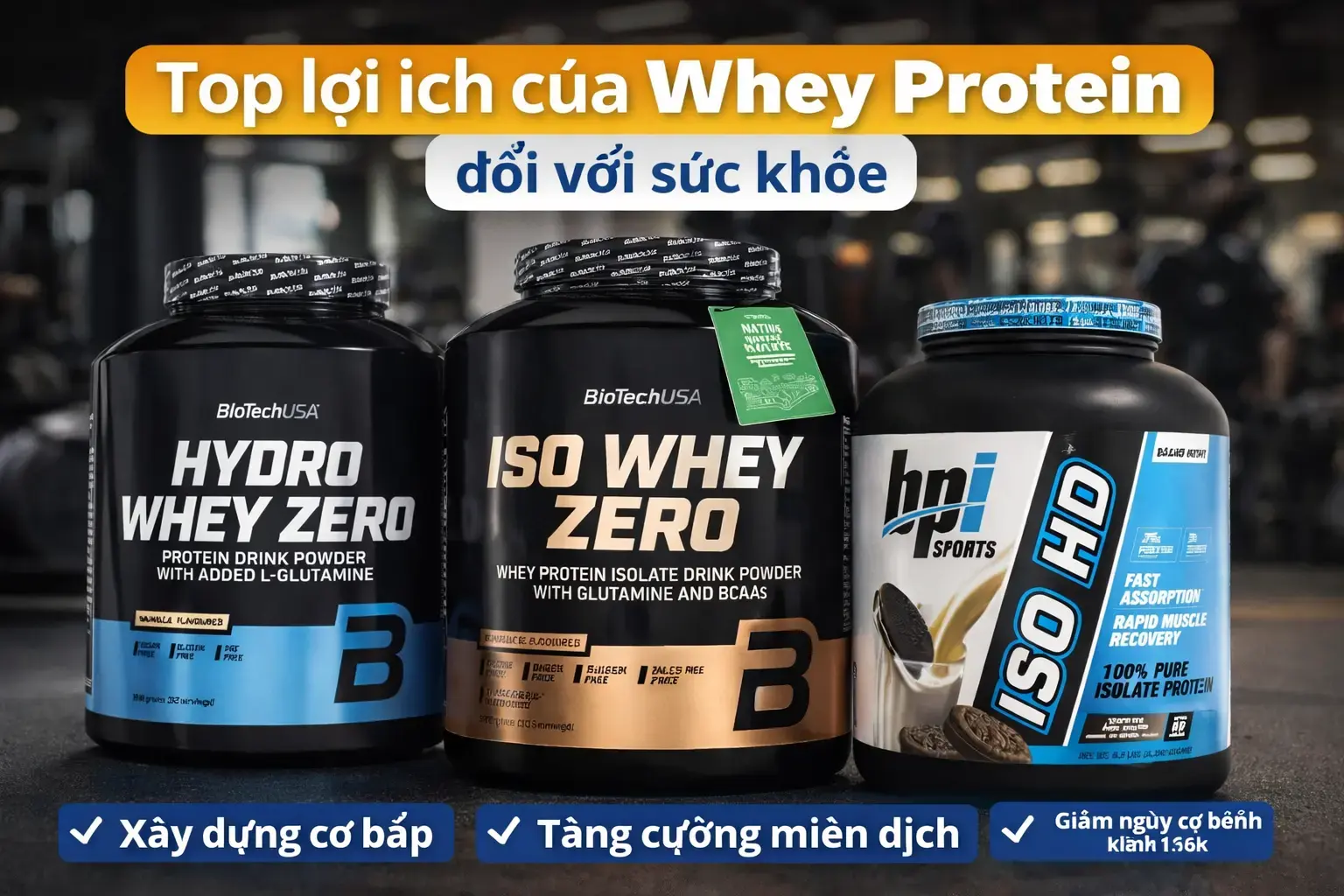 Quá trình tổng hợp protein cơ bắp