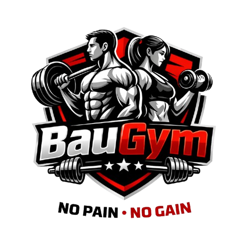 BauGym Logo