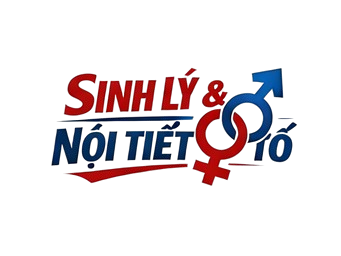Sinh Lý & Nội Tiết Tố
