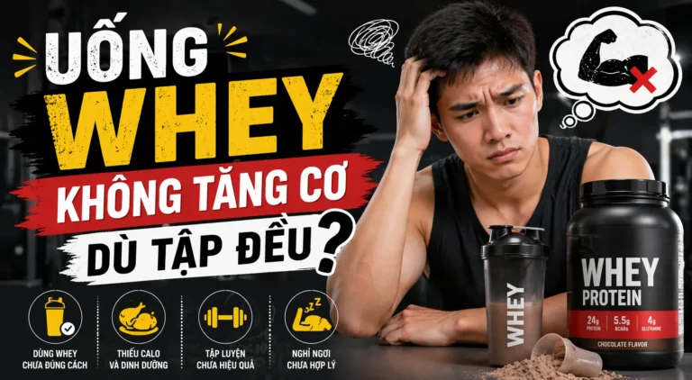 Uống Whey Không Tăng Cơ Dù Tập Đều?