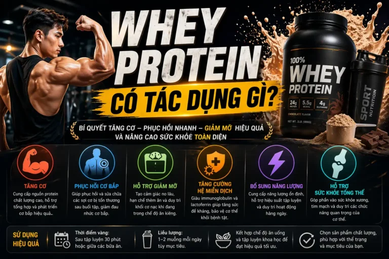Whey Protein Có Tác Dụng Gì?