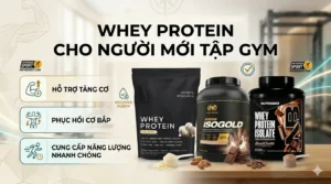 WHEY PROTEIN CHO NGƯỜI MỚI TẬP GYM: TỪ “TẬP MÙ QUÁNG” ĐẾN HIỂU ĐÚNG
