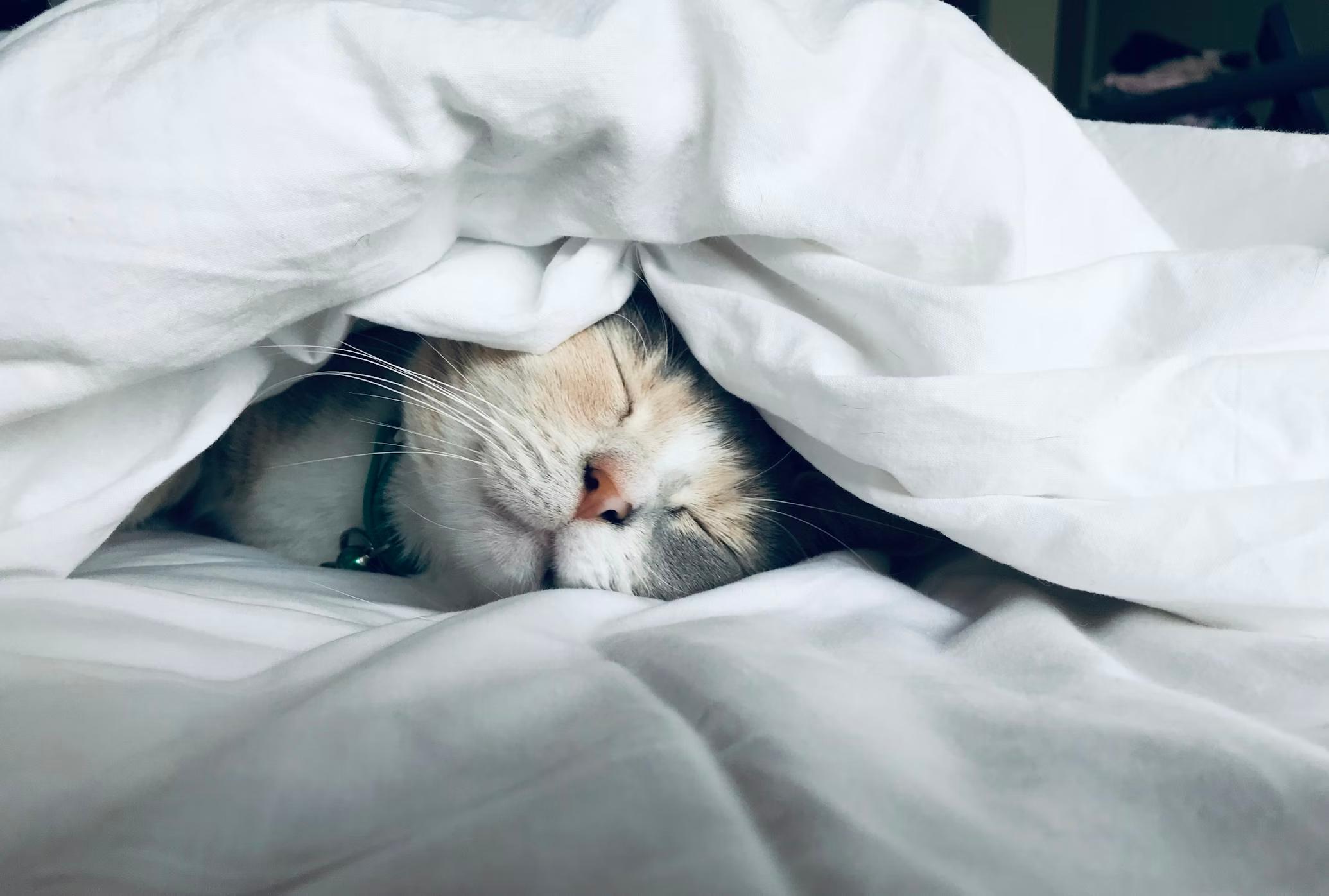 Ngủ đủ giấc