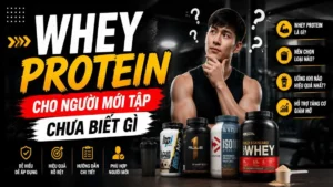 Whey Protein cho người mới tập chưa biết gì – hướng dẫn cách chọn, cách uống và sử dụng Whey hiệu quả cho người bắt đầu tập gym.