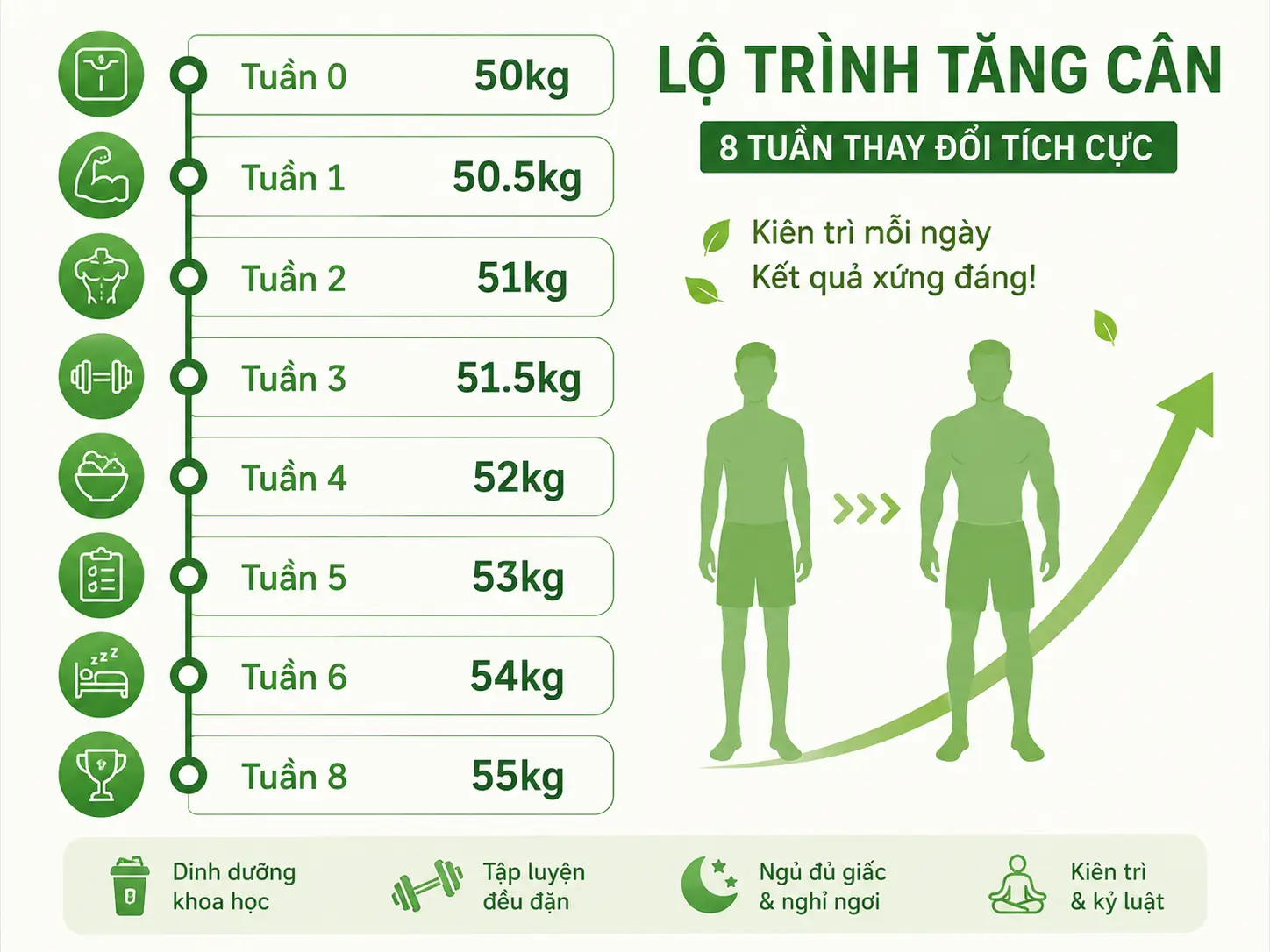 Lộ trình tăng cân 8 tuần