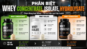 Phân Biệt Whey Concentrate, Isolate, Hydrolysate