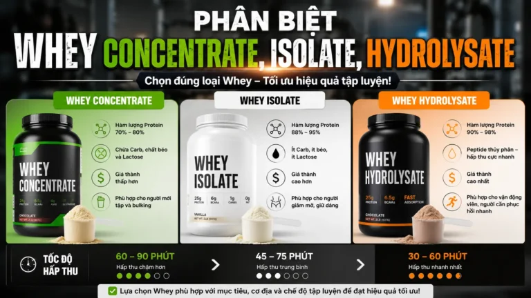 Phân Biệt Whey Concentrate, Isolate, Hydrolysate